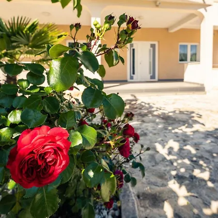 Holiday home Antonija Sibenik