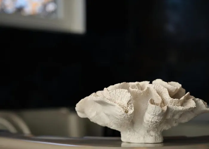 בית נופש Antonija